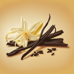 Líquido Vaper Vipers - Crema de Vainilla (Vanilla Velvet)
