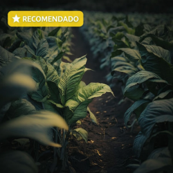 American Tobacco Líquido Vaper Vipers | Tabaco Clásico Suave